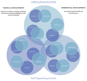 Competency and Capacity in Organisations