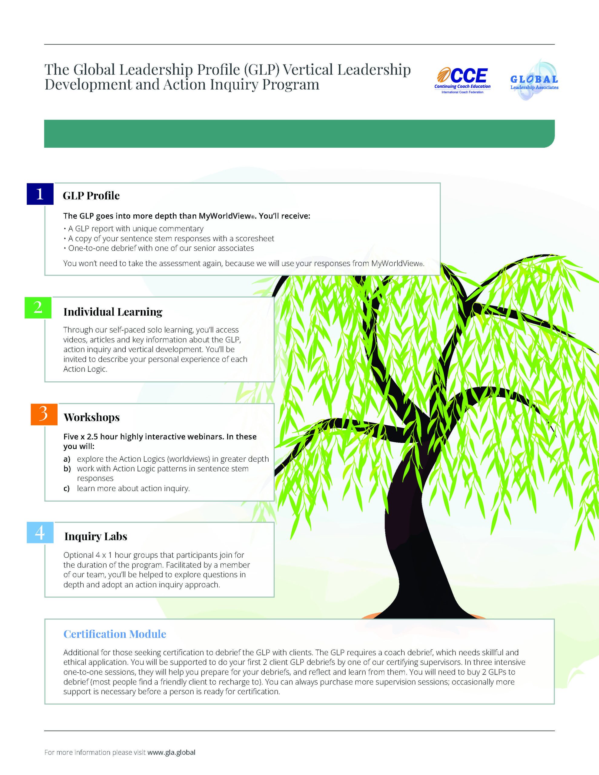 GLP-Vertical-Development-Program overview-2026-